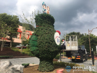 대전 중구, 산림 환경 정비