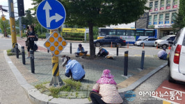 충남 아산시, 추석맞이 쾌적한 도시미관 조성 구슬땀
