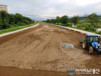 강릉시, 성덕둔치 일원에 유채 꽃밭 조성