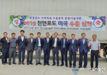 충남 천안 하늘그린 거봉포도, 호주로! 세계로! 수출확대