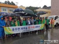 합천 용주면 새마을협의회ㆍ부녀회, 사랑의 쌀 나누기 행사ㆍ환경정비활동