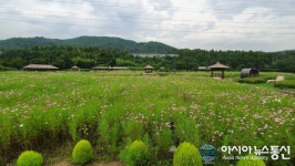 인천대공원, 소래습지 염전길 가을이 성큼