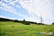 시원한 가을 목장 경치 따라 한라산 걸어볼까