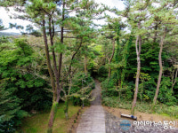 한라산 둘레길 동백길 걸어볼까