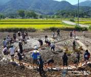 합천 적중면 원경고등학교 숲밭학교캠프