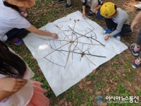 충남 아산시, 숲 해설가가 들려주는 가을 숲 이야기 인기 '쑥쑥'