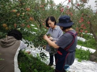 (포토)전정애 진천부군수, 휴일 생산적 일손봉사