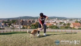 자몽이, 독풀러대회 챔피언될까 독풀러대회란?