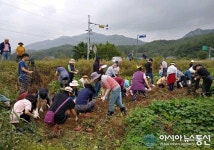 괴산군 서울농장 시범운영 프로그램 운영