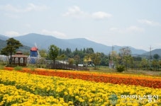 남원시, 지리산 허브밸리 허브 & 국화 향 페스타 개최