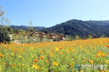 ‘가을 향기 물씬’ 지리산생태체험단지로 꽃구경 오세요