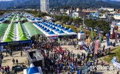 2019경북영주 풍기인삼축제 구름 인파