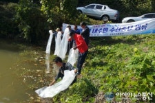 합천군 대양면, 붕어치어 10만 여 마리 방류
