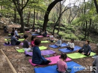 창원 생태관광 ‘편백숲 浴(욕)먹는 여행’ 체험 프로그램 운영