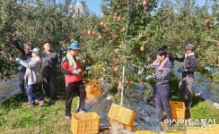 농협 경북지역보증센터, 농촌일손돕기 실시