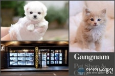 강아지분양, 고양이분양 전문애견샵 미유펫 많은 반려인들이 찾아주시는 만큼 소임을 다하겠다고 전해