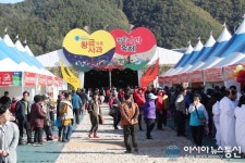 (종합) 제15회 청송사과축제 내달 3일까지