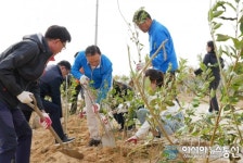 충남 천안시, 시화 개나리가 만발하는 ‘풍서천’ 조성