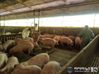 거창군, 축산농가 감염성 폐기물 처리사업 추진