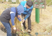 세종시 으뜸초등학교, 친환경 벼 수확 체험 행사 실시