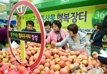 장성군 사과, 감 11월부터 본격 출하