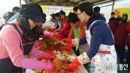 울진로컬푸드협동조합, 2019 울진로컬푸드 알뜰 김장담기 행사 진행