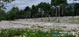 가평 자라섬 남도 새로운 관광명소로 ‘발돋움’
