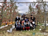 부산대학생, 밀양 얼음골사과·감 수확 일손돕기