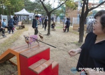 대전 대덕구, 반려동물 놀이터 인기 ‘짱’