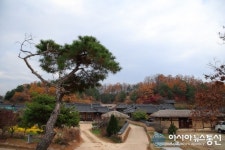 [아통 포토] 영주 무섬마을, 조선시대 후기 전형적인 사대부 가옥의 고택과 정자로 이루어져 ~ (2020 대구 경북 방문의 해)
