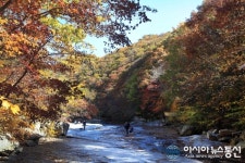 숨겨진 비경, 밀양 가지산 계곡 쇠점골의 만추