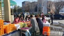 고성군 하일면 청년회, ‘사랑의 김장 나눔’ 봉사활동 가져