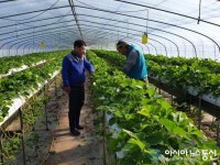 합천 삼가면, 겨울철 자연재난대비 찾아가는 행정지도·점검 실시