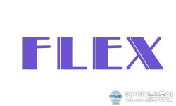 플렉스 해버렸지 뭐야~! 플렉스(Flex) 과연 뜻이 뭘까?