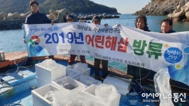 경상남도 수산자원연구소, 자체 종자생산 어린 해삼 25만 마리 무상방류