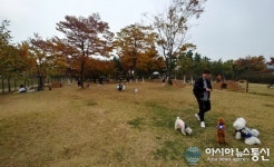 안산시 성곡반려견 놀이터 동절기 일시 휴장
