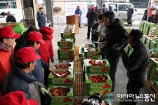 감고을 영동 곶감경매 시작…지역 전체가 활기