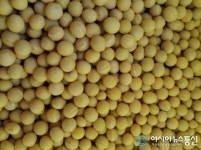 국립종자원 전북지원, 콩·팥 보급...오는 3월 17일까지 신청·접수