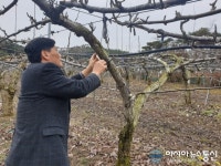 나주시, 월동 해충 조기방제 당부