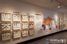 전북대 ‘오래전 지구의 주인, 곤충’展 마련
