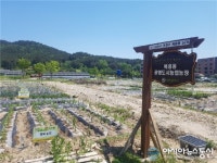 대전 도시텃밭에서 건강과 행복을 키워보세요~