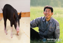 맛의 도시 전주에서 외식업의 판도를 바꿔나갈 지리산 순종100% ‘600흑돈’