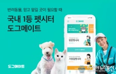 펫시터 예약 서비스 도그메이트, 24억 원 규모의 시리즈 A 투자 유치