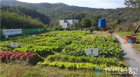대구 공영 도시텃밭 3곳 분양…1구획에 4만원