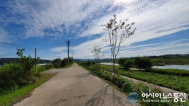 파주시, 공릉천 제방 걷고 싶은 명품 가로수길 조성