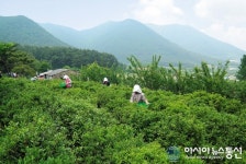 [기획연재1] 김해시 농업정책의 현재와 미래