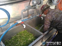충남 당진, 냉이세척기 효자 노릇 ‘톡톡’