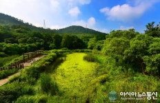 생명을 품은 땅 고창 고창군 람사르습지도시 도전