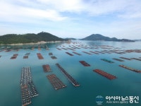 수산양식산업 중심지 완도군, 양식시설 현대화 사업 추진