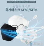 블링마켓 강블리라이프 오전 11시 KF94 대형마스크 판매 서버 마비